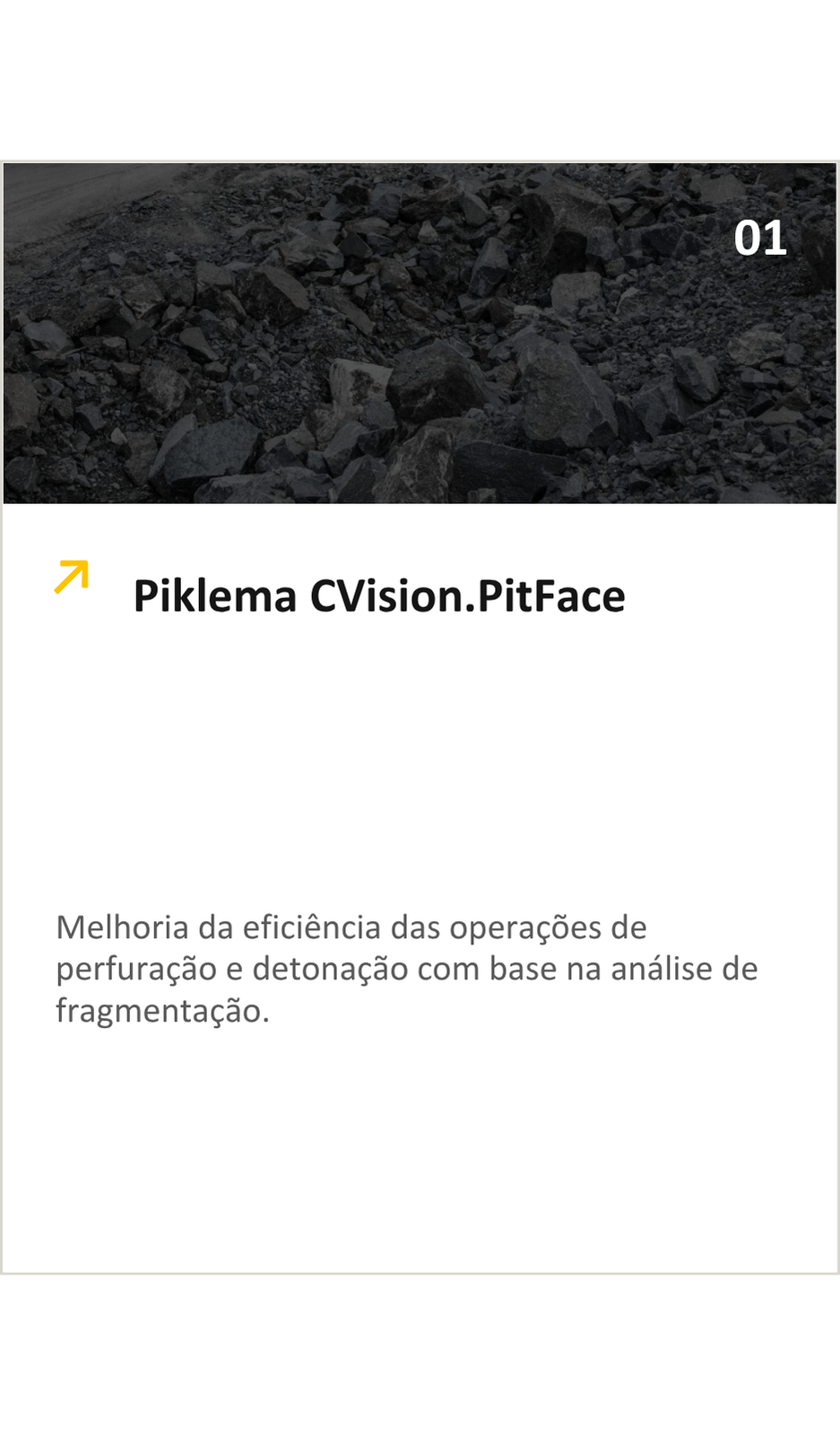 Shows the solution Piklema Computer Vision