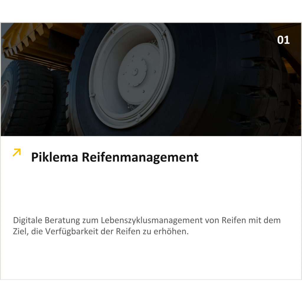 Shows the solution Piklema Digital Advisers