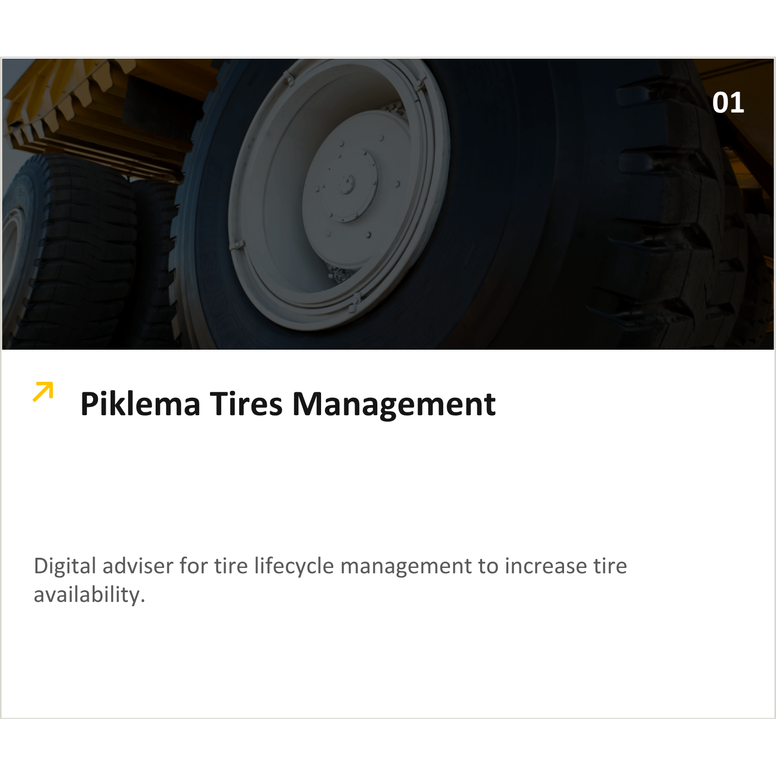 Shows the solution Piklema Digital Advisers