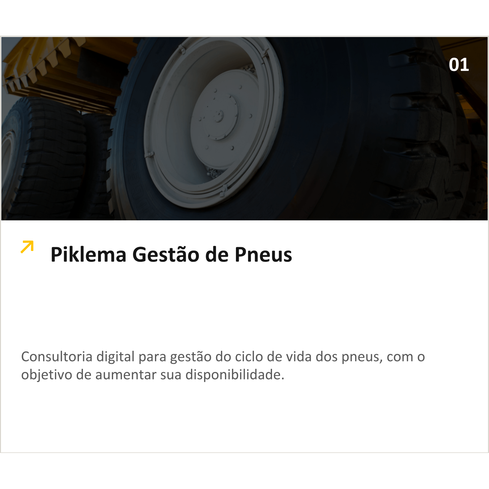 Shows the solution Piklema Digital Advisers